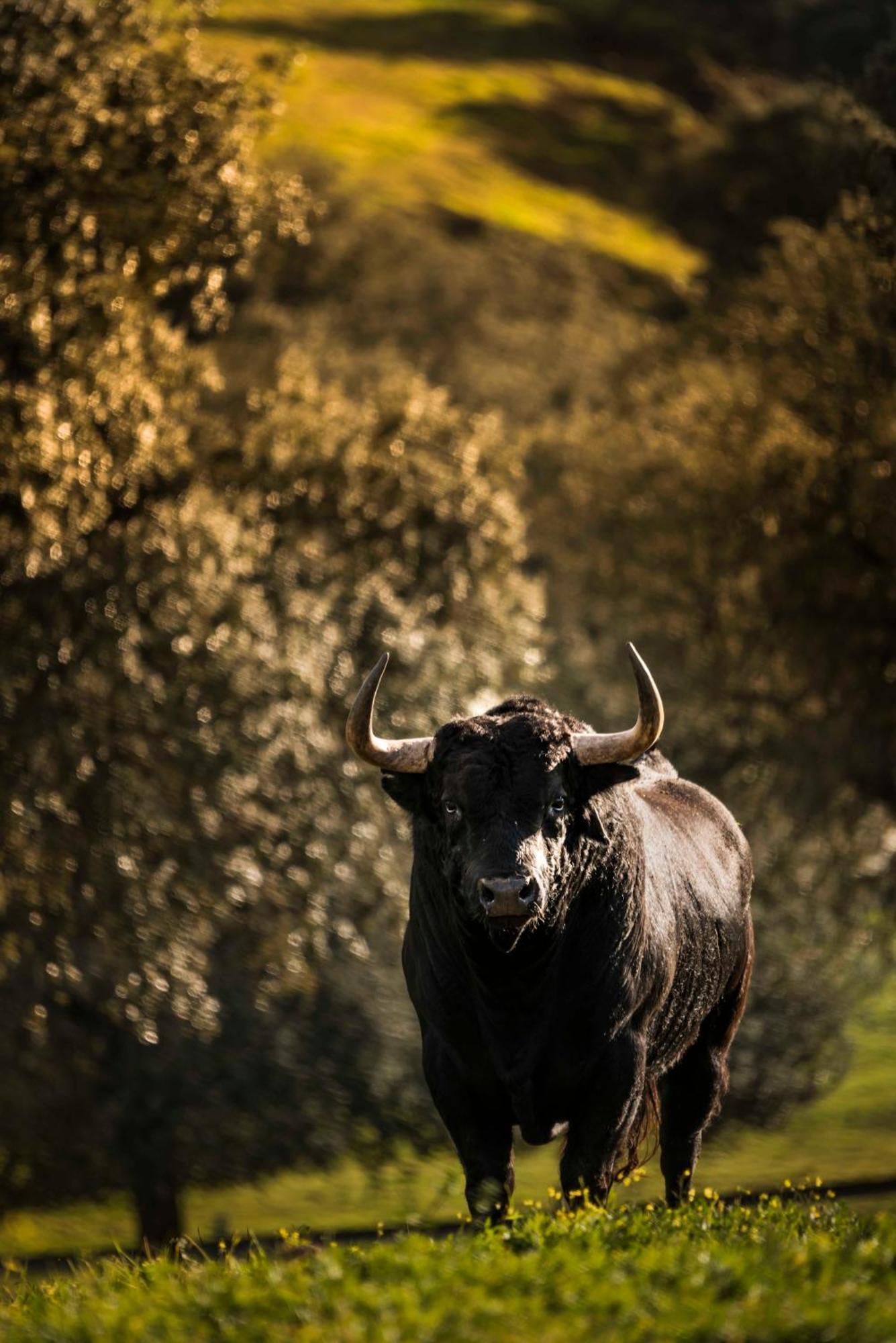 Finca El Cotillo Лінарес Екстер'єр фото